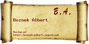 Bozsek Albert névjegykártya